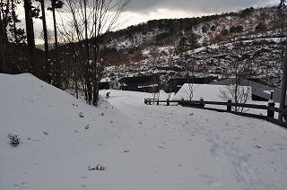 26年雪の写真DSC_1085.jpg 26年雪の写真DSC_1085.jpg