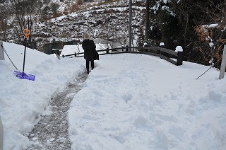 26年雪の写真DSC_1087.jpg 26年雪の写真DSC_1087.jpg