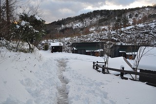 26年雪の写真DSC_1089.jpg 26年雪の写真DSC_1089.jpg