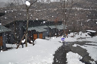 26年雪の写真DSC_1097.jpg 26年雪の写真DSC_1097.jpg