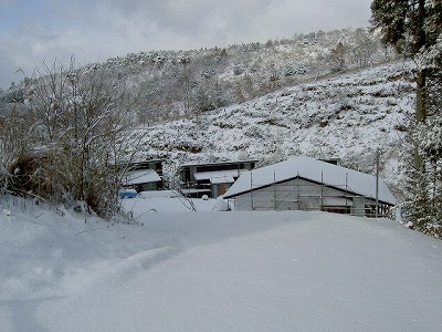 PICT8184.jpg