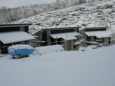 PICT8185.jpg