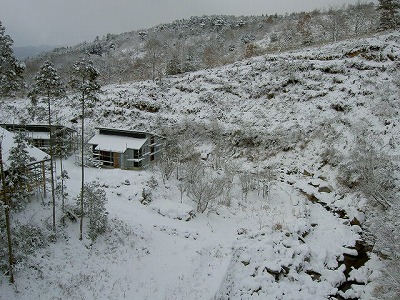 PICT8202.jpg